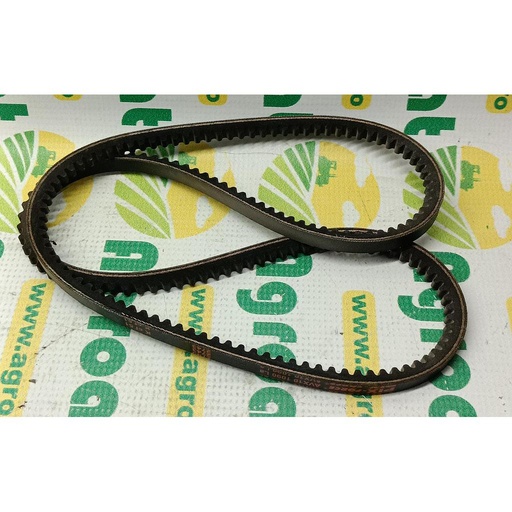 [AMAT1-06011] Curea 