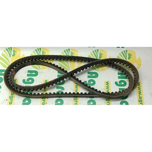 [AMAT1-06002] Curea RD