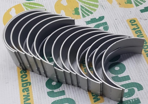 [AMAT1-05883] Cuzineti Palier 1901832