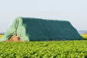 Prelata Baloti 10x25M