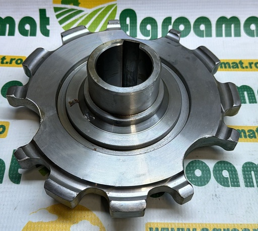 [AMAT1-05658] Pinion Wolagri/Fort 280512.2