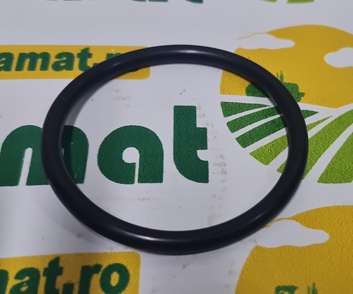 [AMAT1-05556] O-Ring Ax Ridicare  X548956401000