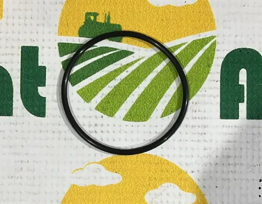 [AMAT1-62222] O-ring Piston 272778