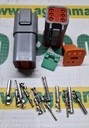 Set Conectori DT 6Pini