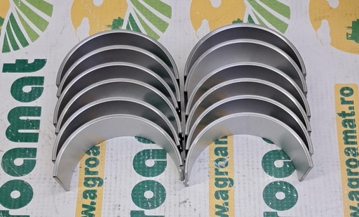 [AMAT1-05475] Set Cuzineti AR73277