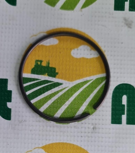 [AMAT1-63532] Inel Etansare 2391780