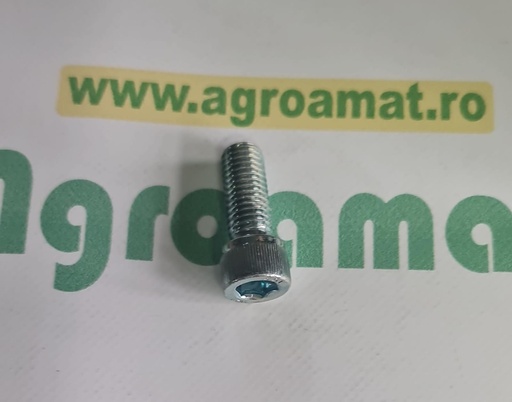 [AMAT1-66411] Surub cap cilindric orificiu hexagonal M12x30mm
