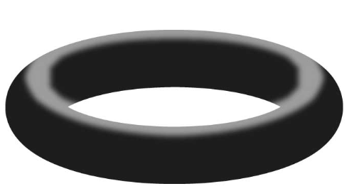 [AMAT1-66627] O-ring Etansare