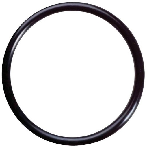 [AMAT1-66635] O-ring Etansare