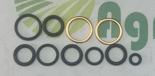 [AMAT1-67288] Kit Garnituri Distribuitor 3105214M91