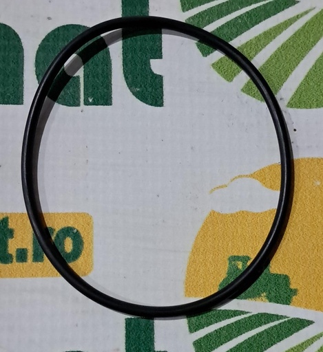 [AMAT1-67452] O-ring Tambur Cositoare