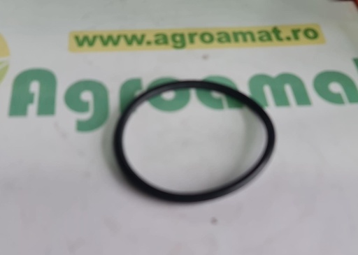 [AMAT1-67474] O-ring Sonda Combustibil 3229809R1