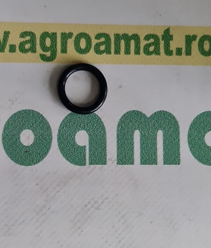 [AMAT1-68321] O-ring 38004648