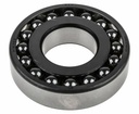 Rulment SKF 1309 ETN9/C3