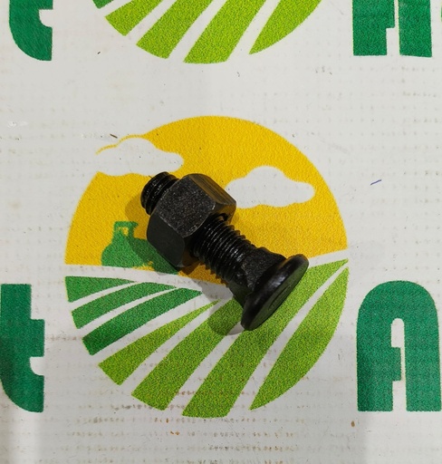 [AMAT1-69411] Surub Brazdar M12x40mm cu Cap Patrat PP2