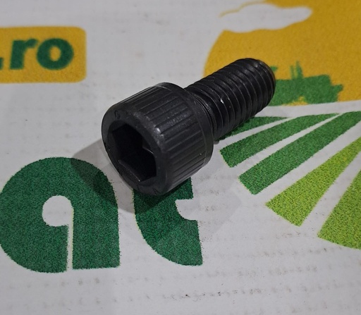 [AMAT1-70408] Surub Cap Cilindric Orificiu Hexagonal M12x25mm 