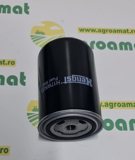 [AMAT1-70596] Filtru Combustibil 