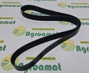 Curea Alternator 01181728