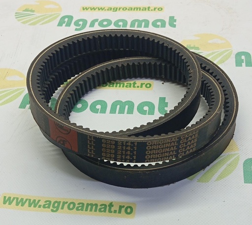 [AMAT1-70784] Curea Danturata Org. 629214.1
