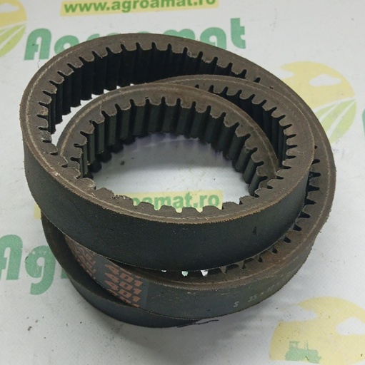 [AMAT1-70790] Curea Danturata 340434140