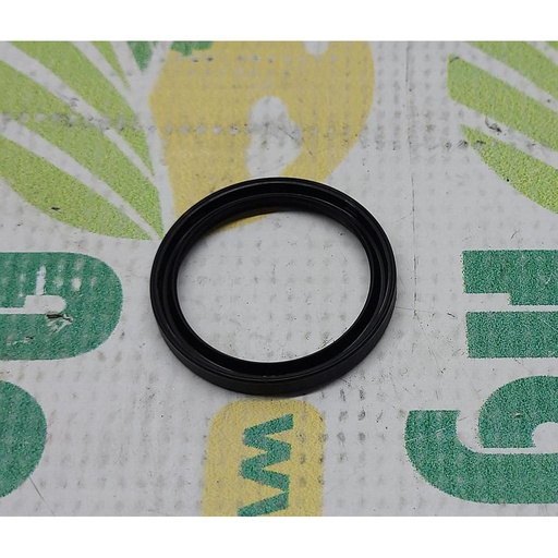 [AMAT1-04886] Simering ZF 3057808R1