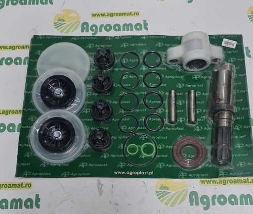 [AMAT1-71567] Kit Reparare Pompa Erbicidat