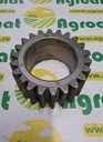 Pinion z-22