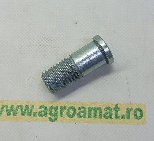 [AMAT1-72065] Surub Lemken 3018219