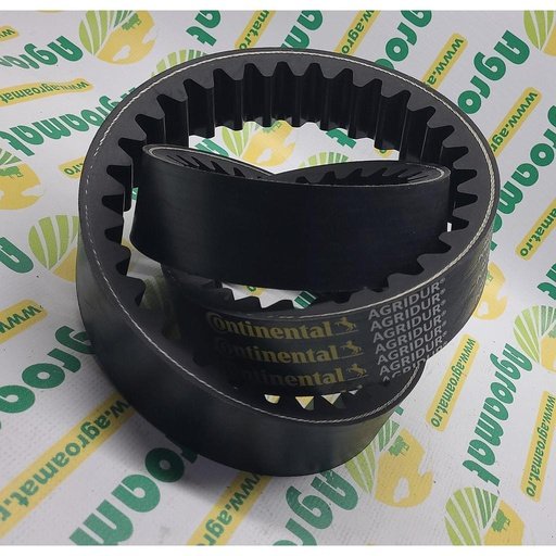 [AMAT1-04729] Curea Continental Danturata