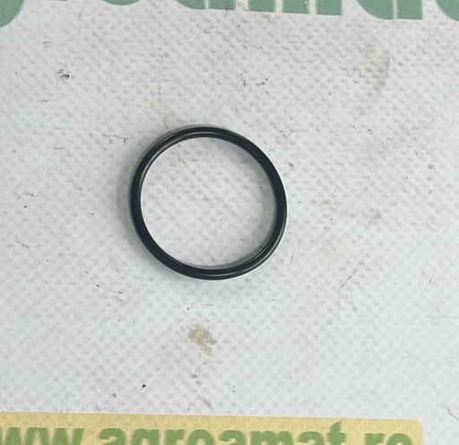 [AMAT1-72918] O-Ring Etansare Org.