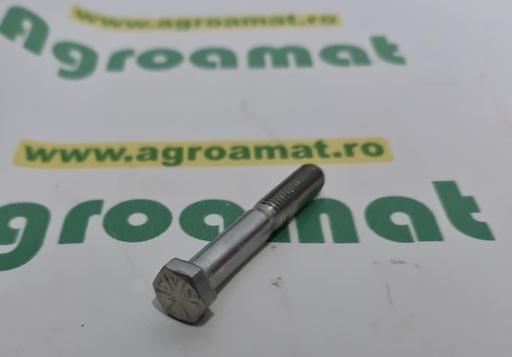 [AMAT1-72997] Surub Hexagonal 19H3031