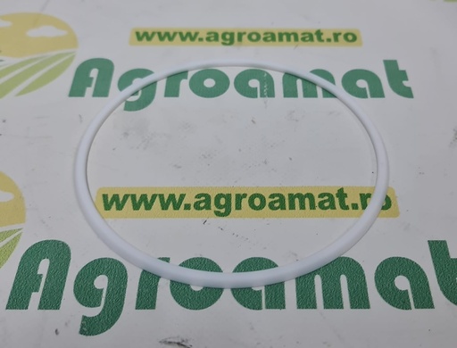 [AMAT1-73065] O-ring Etansare 109663