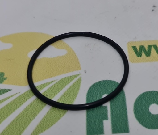 [AMAT1-73066] O-ring 109711