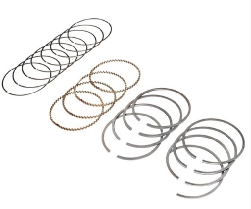[AMAT1-73221] Segmenti Fi 76 