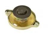 [AMAT1-73280] Dop Radiator manitou 564009