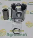 Piston Motor RE527039