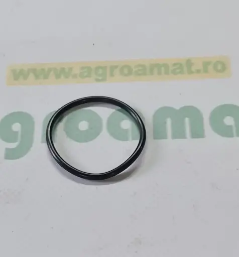 [AMAT1-76376] O-ring Amazone FC012