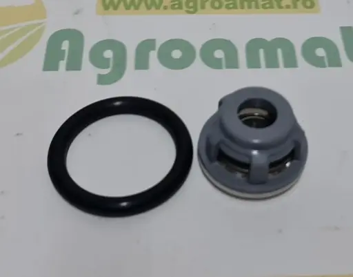 [AMAT1-76461] Ansamblu Valva Complet ZF573