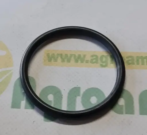 [AMAT1-76471] O-ring Org. AmazoneFC172