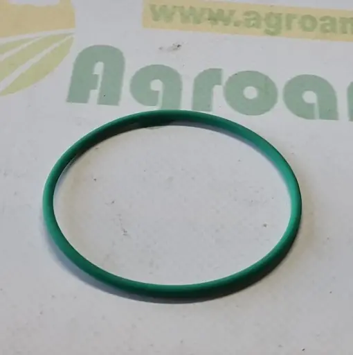 [AMAT1-76485] O-ring Org. FC302