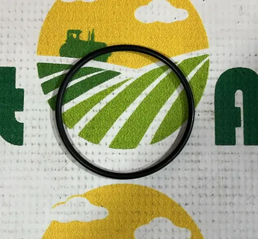 [AMAT1-77389] O-ring Piston 