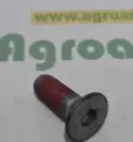Surub Org. 87571800