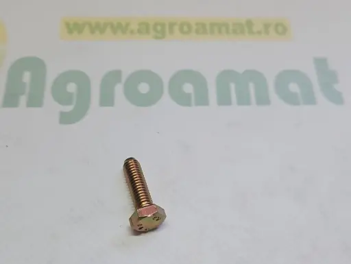[AMAT1-77781] Surub M6x20 19M7077