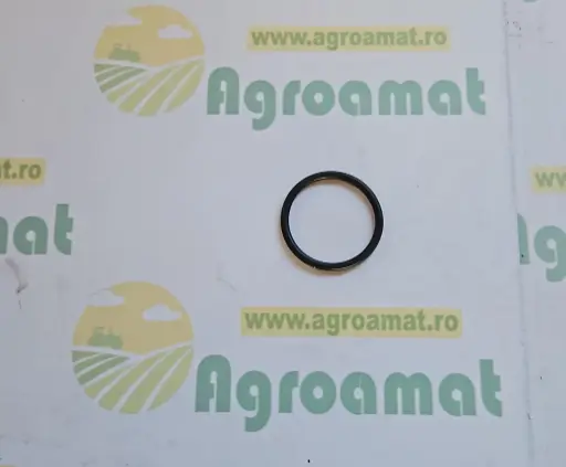 [AMAT1-78417] O-Ring CQ08006