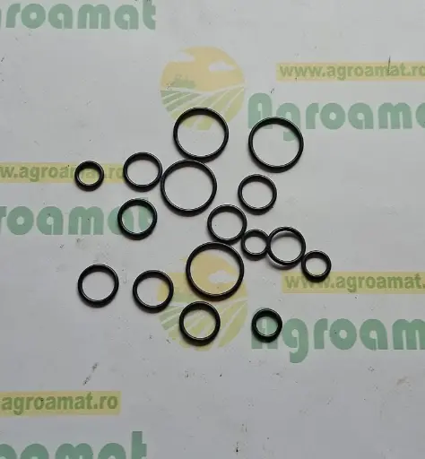 [AMAT1-78554] Kit O-ring Valva DC49898