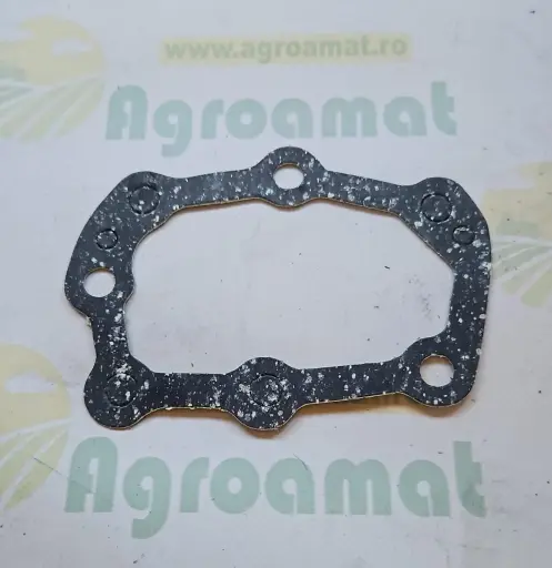 [AMAT1-79105] Garnitura Capac Distributie T20273
