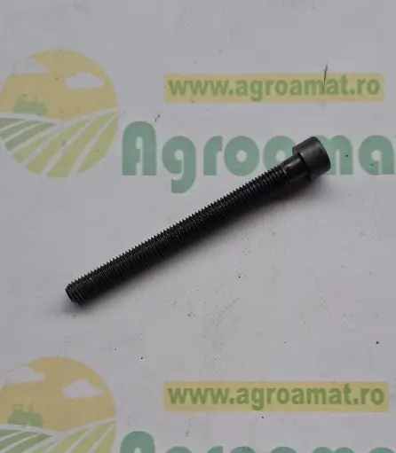 [AMAT1-79116] Surub L172599