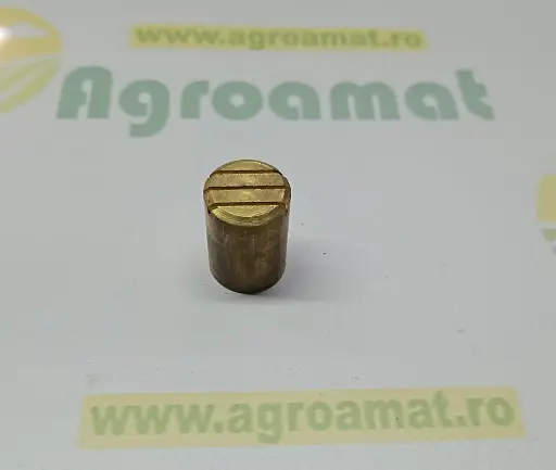 [AMAT1-79118] Bolt Frictiune T21969 
