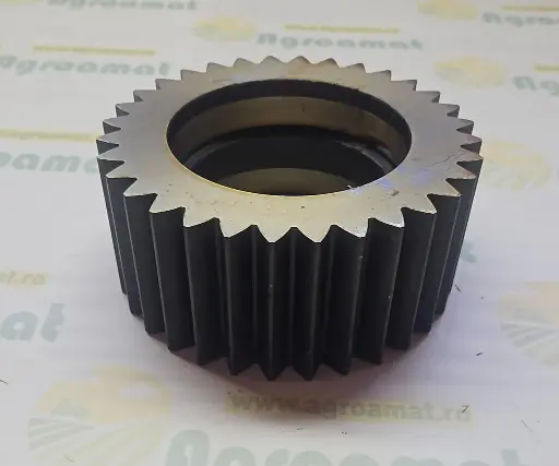 [AMAT1-79195] Pinion Planetar R93883