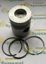 Piston cu Segment RE16549FP